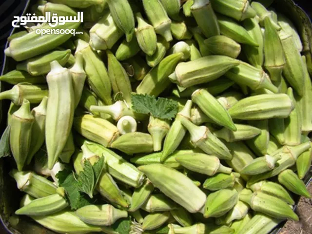 بامیه من الاهواز بسعر رخیص