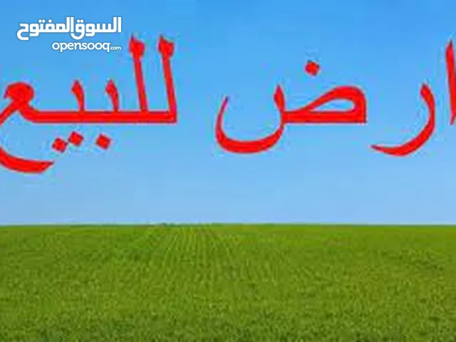 اراض استثمارية لااااتعوض -زراعية في قرية الاشرفية   من مالكها /10دونم