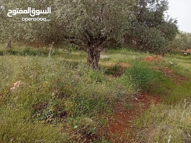 ارض مربعه الشكل اطلاله مميزه واصلها جميع الخدمات 650 متر