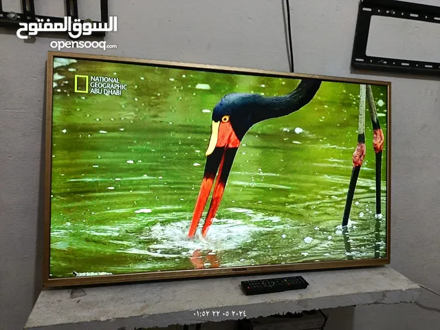 Others LED 48 Inch TV in Fayoum