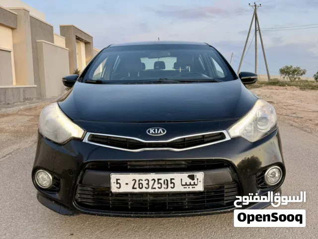 2015 Kia K5 EX