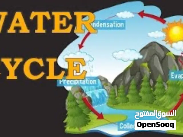 معلمة علوم ولغة عربية