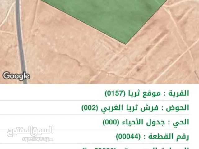 ارض في ام الرصاص موقع الثريا