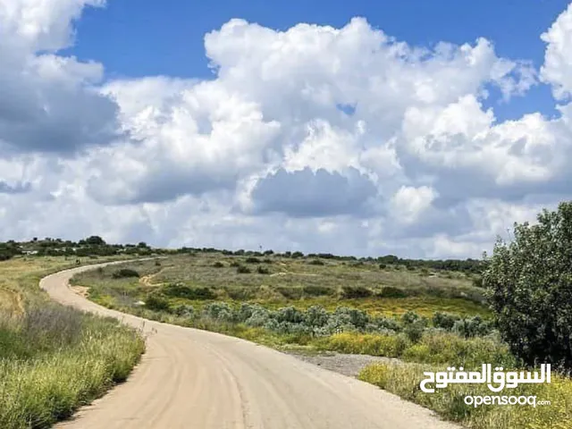 ارض للبيع اراضي صرة