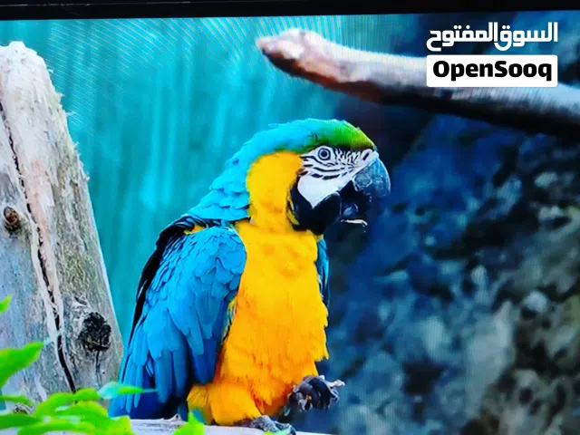 شاشه سامسونج 50 سمارت