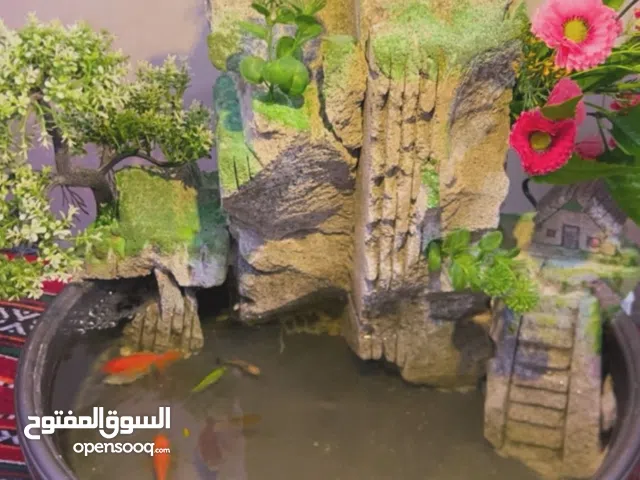 جزيره وحديقه