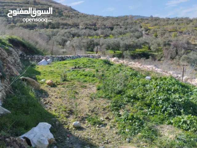 Mixed Use Land for Sale in Tulkarm Bal'a