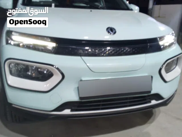 2022 دونج فينج EX1