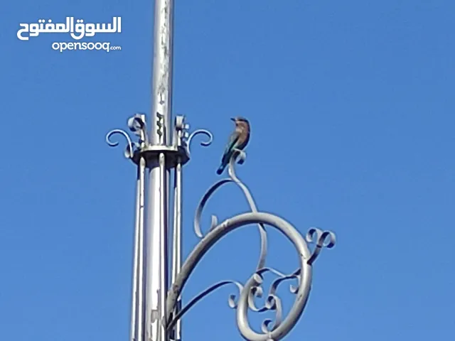 200 m2 2 Bedrooms Apartments for Rent in Baghdad Abu Ghraib