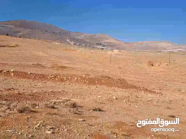 استثمار دولي