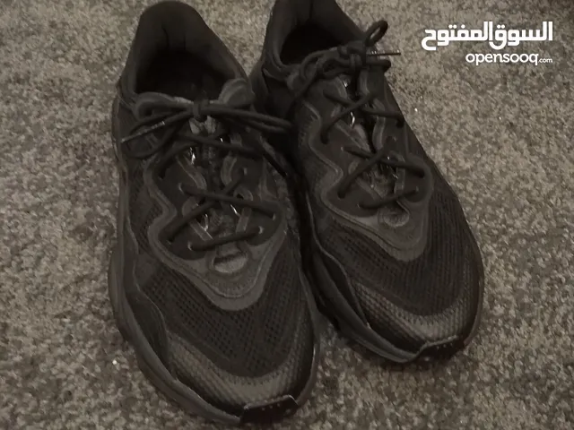 42.5 Sport Shoes in Mubarak Al-Kabeer