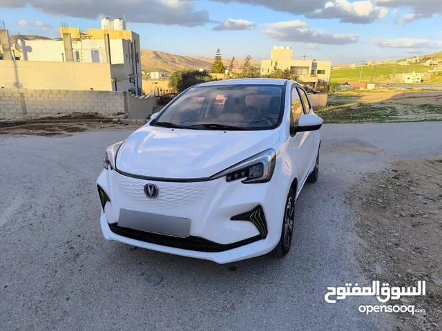 شانجان اي ستار بحال الوكالة تحت الكفالة