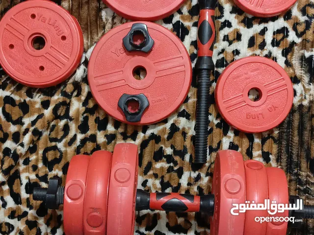 دمبلصات تمرين العدد2