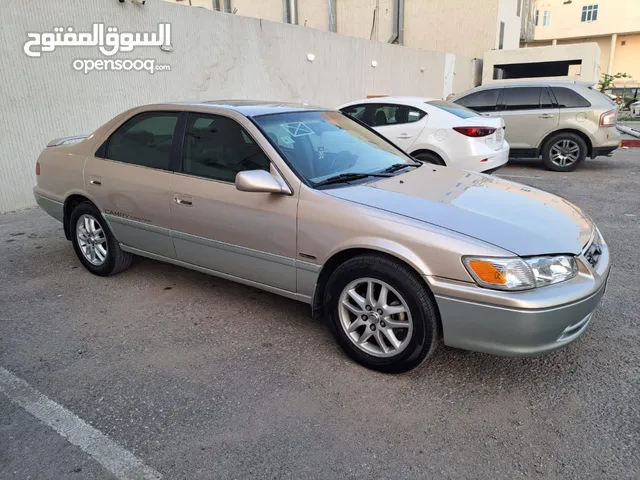 Used Toyota Camry in Sakakah