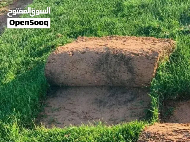 معشب طبيعي