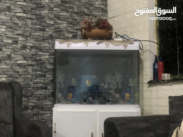 حوض سمك 80x50