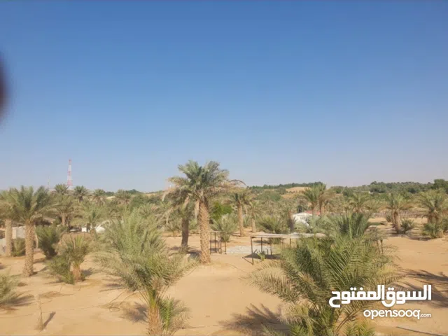 Farm Land for Sale in Abu Dhabi Liwa