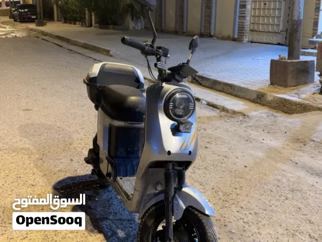 دراجة شحن ريان R10