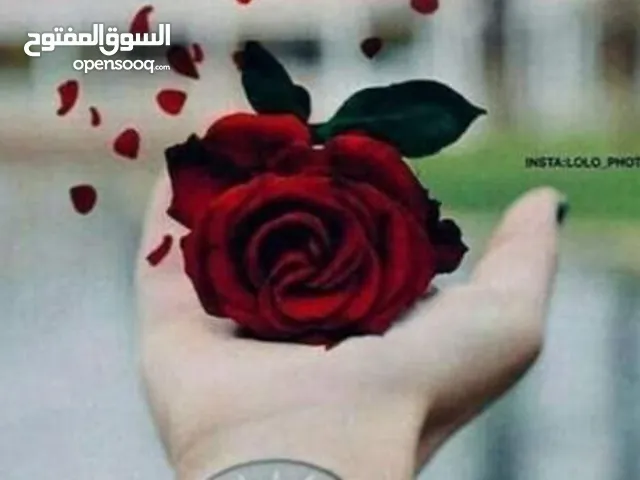 سناء حسن عباس