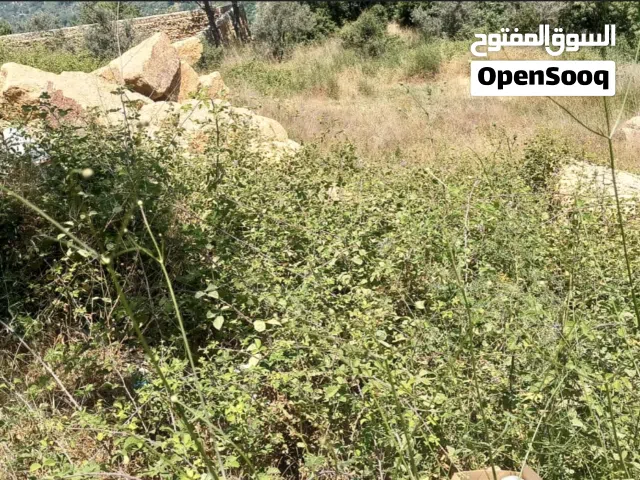 Land for Sale in Abey – 730 m2