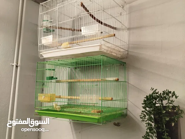 اقفاص أستعمله للبيع