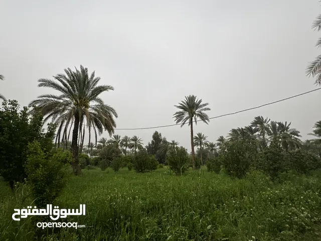 Mixed Use Land for Sale in Baghdad Taji