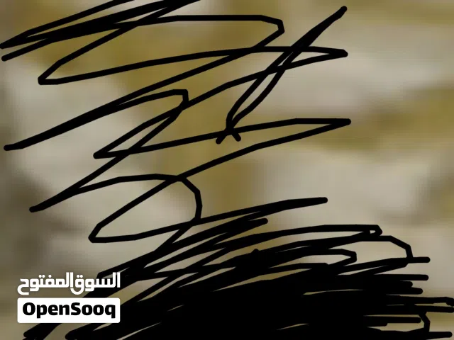 روز اليف وعدد خارجي وداخلي مع القفص