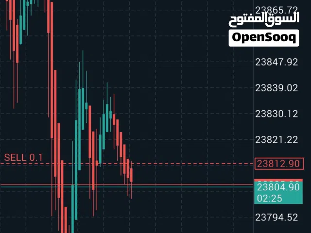 تعليم التداول وتكوين مصدر دخل جانبي