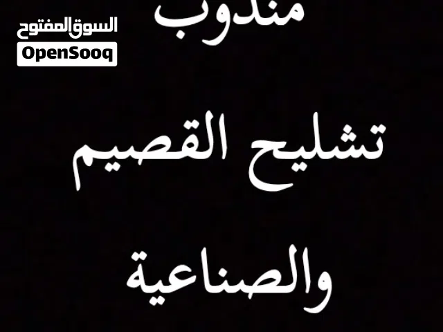 مندوب تشليح القصيم