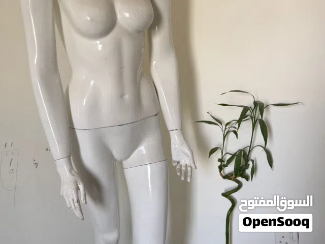 ملكانة للبيع