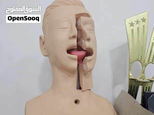 مجسم طبي للشرح