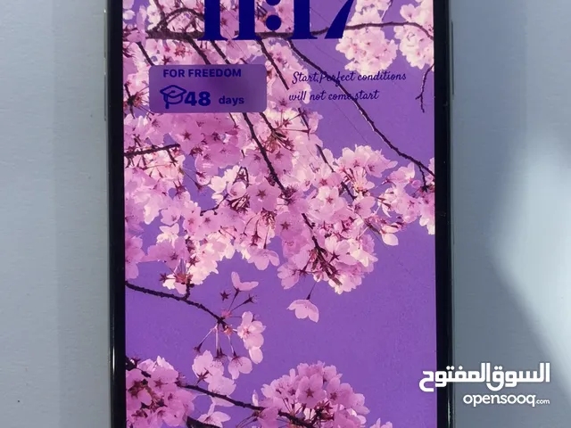 Apple iPhone X 64 GB in Amman