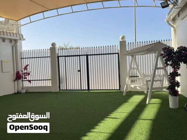 استراحة الصقر