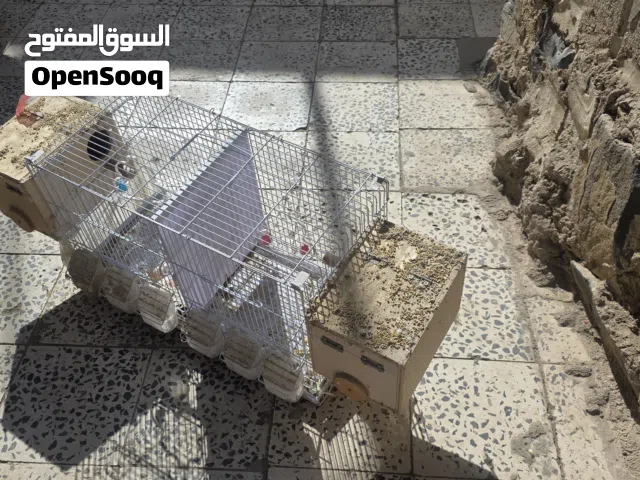 اقفاص طيور للبيع