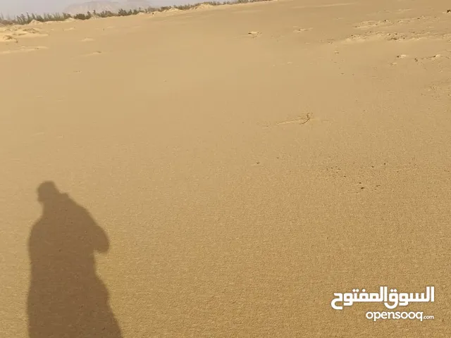 مطلوب قطعة أرض تمليك بمحيط القاهرة الجديدة