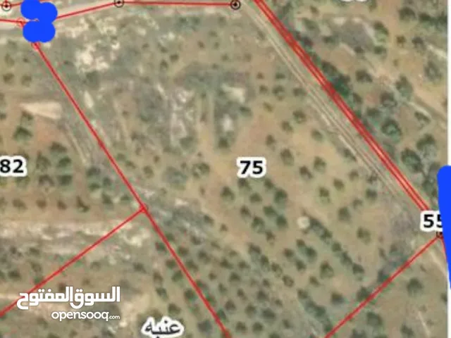 Farm Land for Sale in Irbid Al Balad