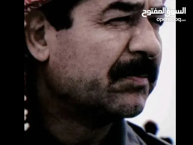 أحمد عامر