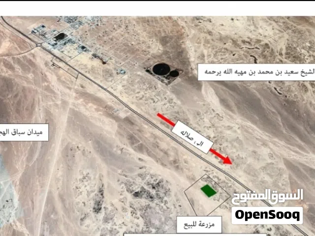 Farm Land for Sale in Dhofar Thumrait