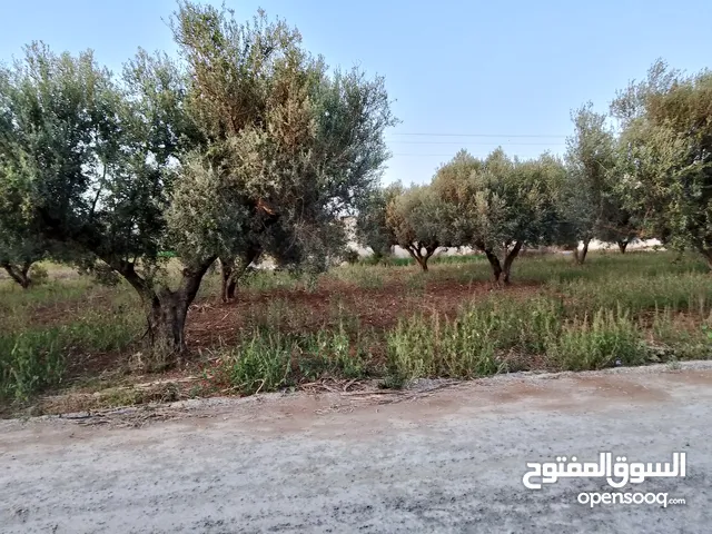 ارض للبيع في ولاية أريانة برج الطويل