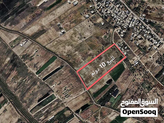 Farm Land for Sale in Diyala Baqubah
