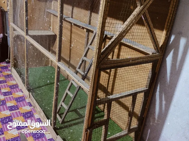 قفص طيور حب كبير للبيع