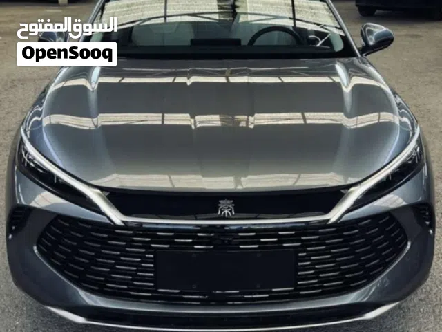 2024 بي واي دي كين