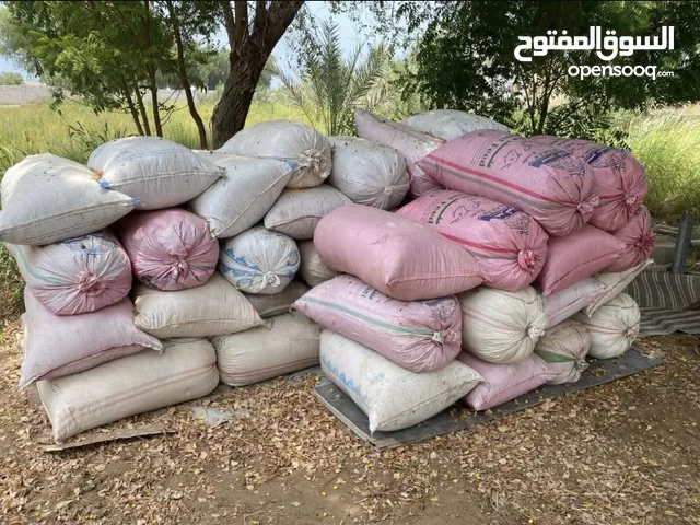مسيبلوا وبونيكام