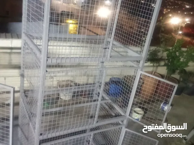 قفاص ارانب مع جوارير