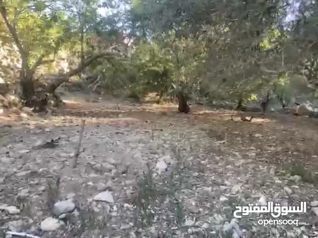 ارض 240 متر مربع بسعر لا يعوض