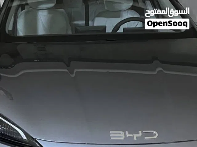 2025 بي واي دي سيل