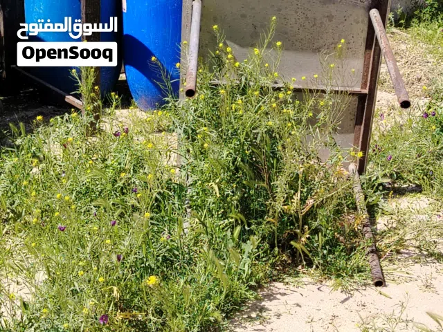 عدد مطاعم وحلويات