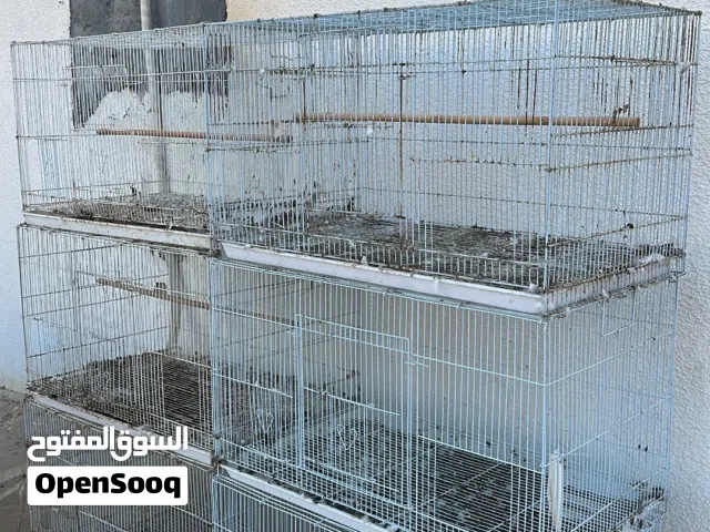 أقفاص محاكر