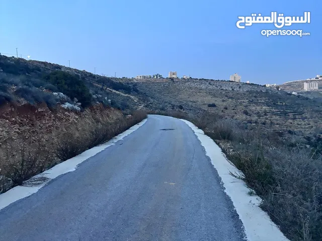 Residential Land for Sale in Ramallah and Al-Bireh Dahiat Al Rayhan