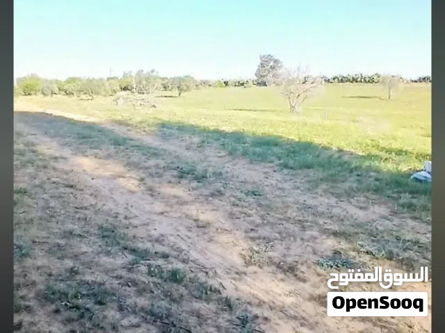 قطعة ارض للبيع